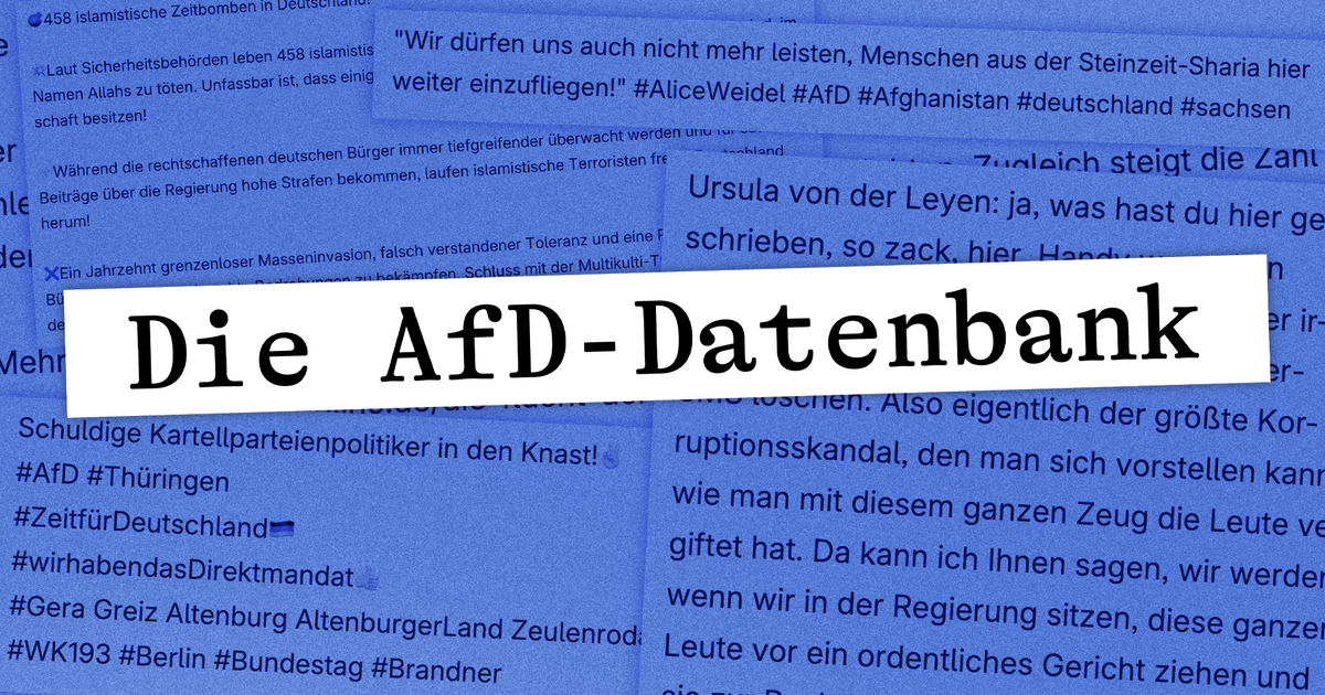 Belege zum AfD-Gutachten: Die AfD-Datenbank