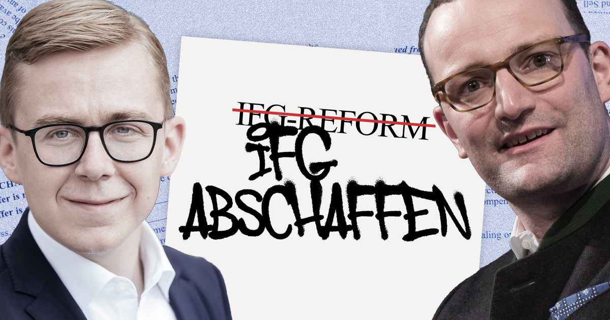 SPD und Union planen Abschaffung des IFG
